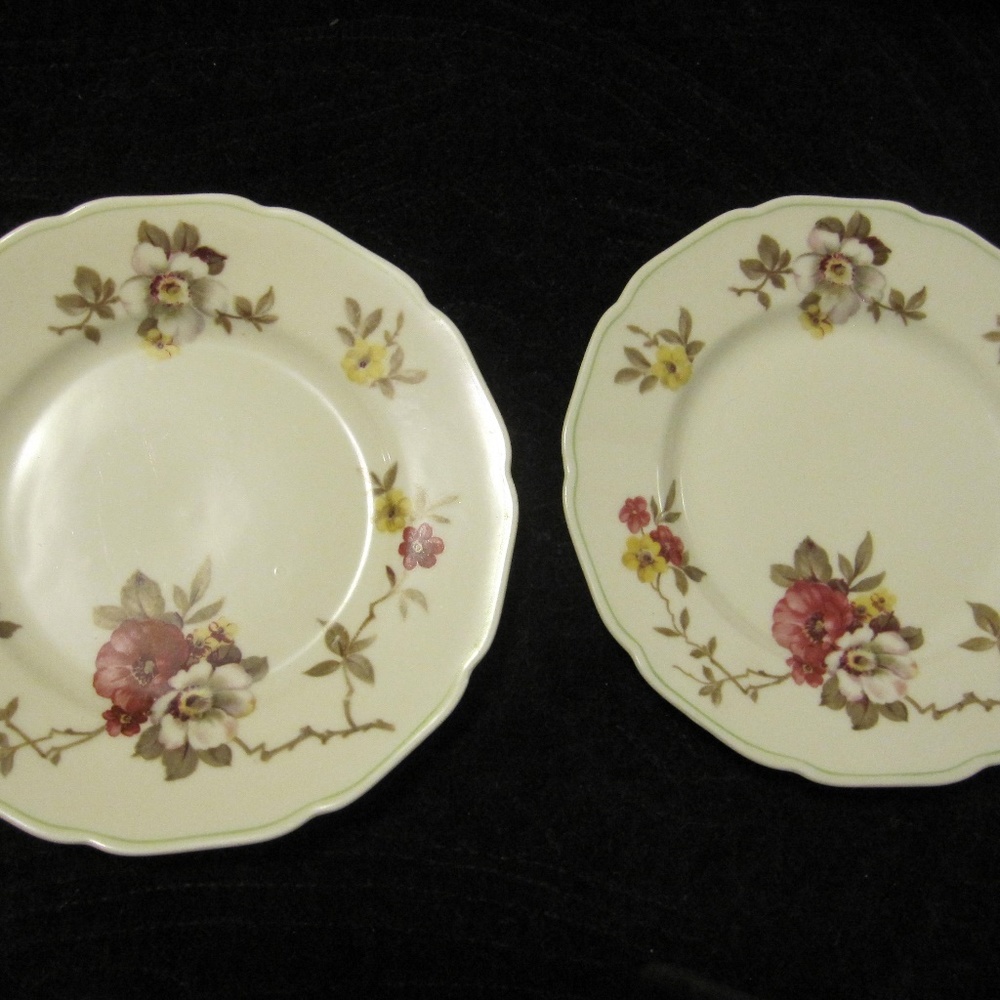 2 Vintage Apple Blossom Flowered Plates